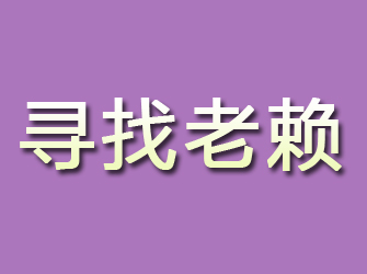 新县寻找老赖